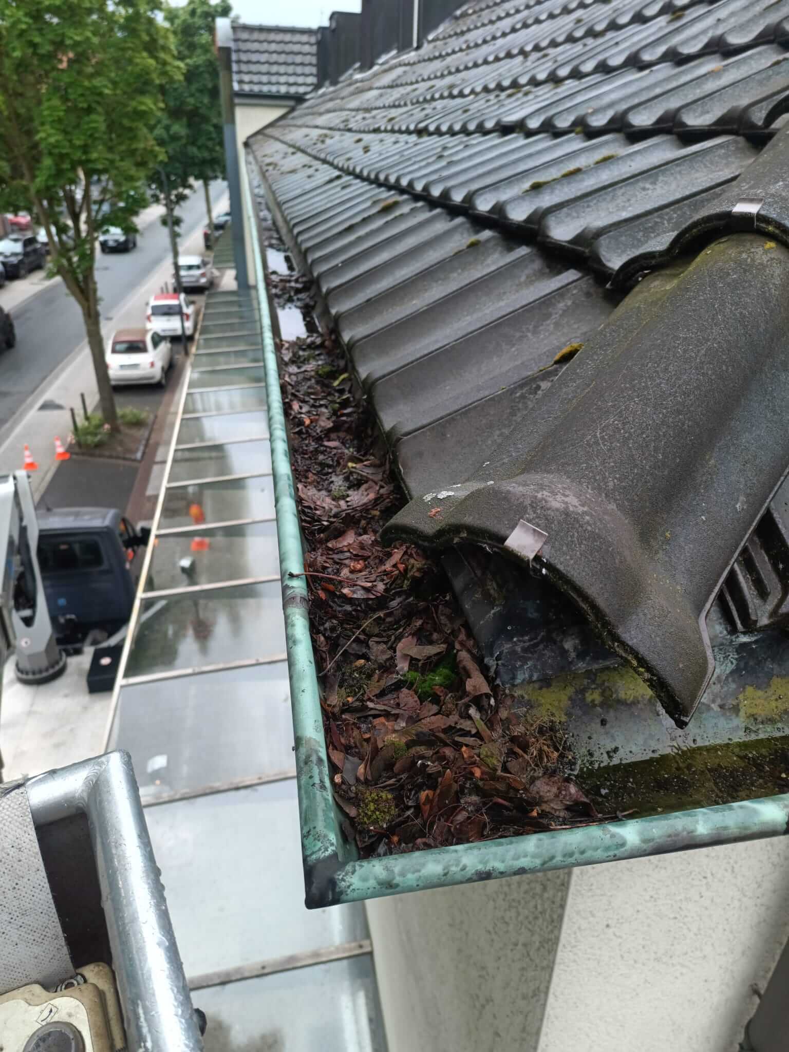 Professionelle Dachrinnenreinigung und Laubentfernung