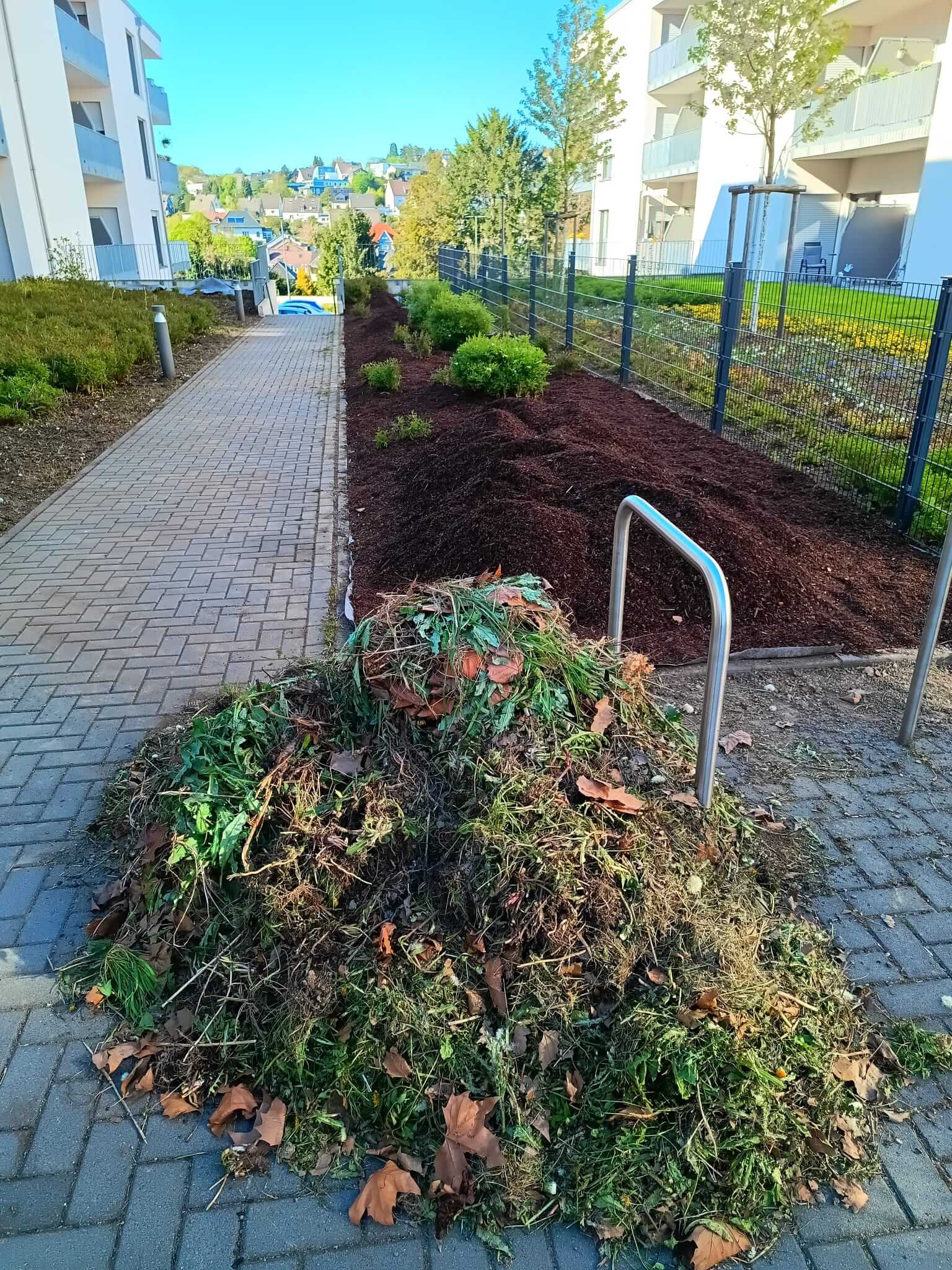 Gartenpflege: Beetgestaltung und Unkrautbeseitigung (nachher)